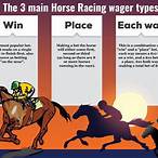 how many horses for each way bet